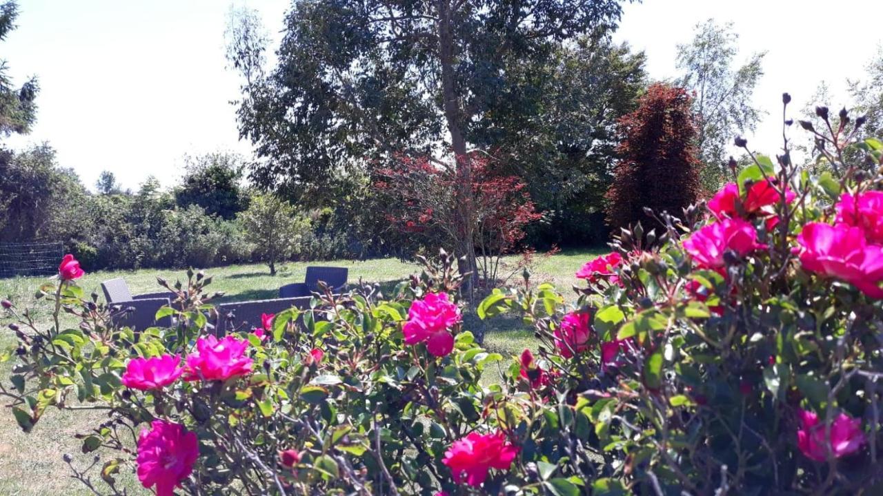 Auberge Aux Marais Montmartin-en-Graignes Εξωτερικό φωτογραφία